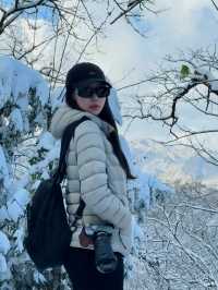 西安出發40分鐘 | 秦嶺冬日雪國秘境登高賞雪