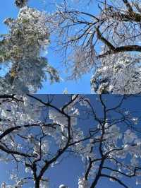 郴州莽山賞雪超全攻略