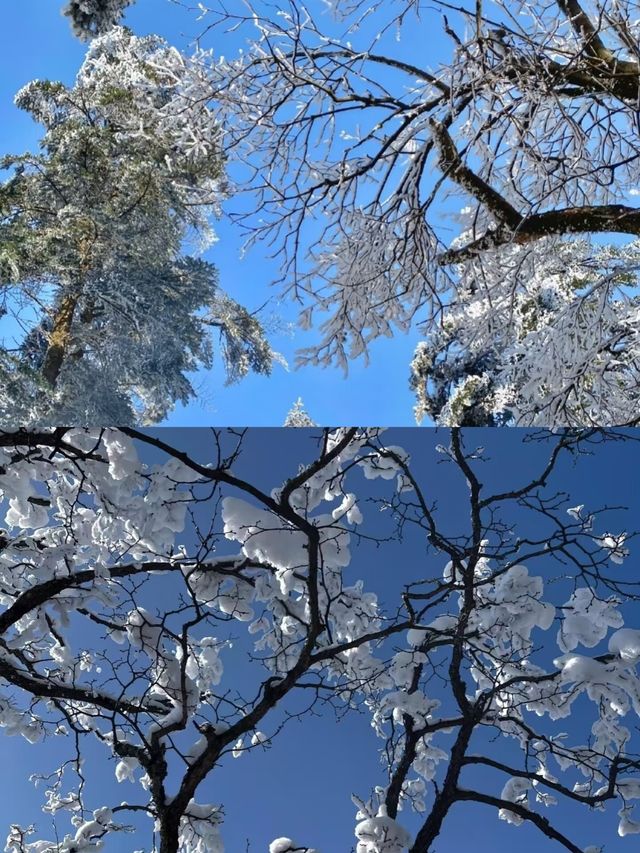 郴州莽山賞雪超全攻略