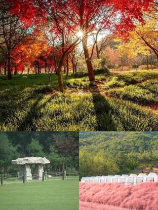 Here's a 3-day itinerary for Gochang County, South Korea!