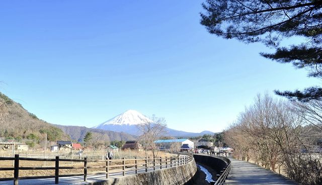 日本雪國的浪漫之旅——新潟