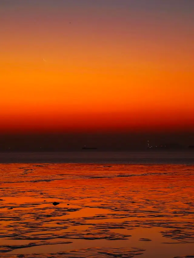 Escape the hustle and bustle of the city and listen to the sound of the waves at Haiyan Guanhai Park