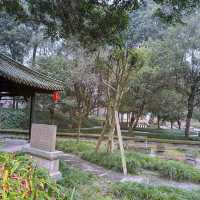 "呢個成都小景點，梅花開咗竟然令我有啲唔想離開！"