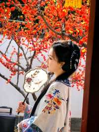 「紅樓夢裏過大年」超值沉浸式「紅樓廟會」打卡了嗎？