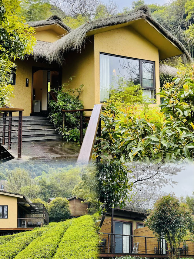 城市裏的樹屋城堡 | 杭州開元森泊度假酒店