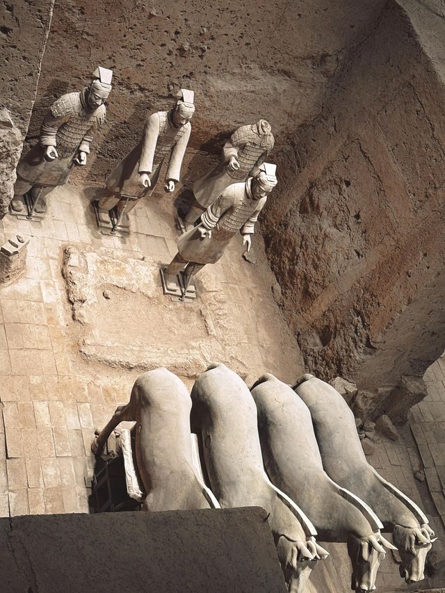 穿越時空的震撼秦始皇兵馬俑 穿越時空的震撼秦始皇兵馬俑