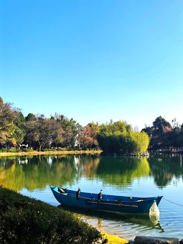 蝴蝶泉