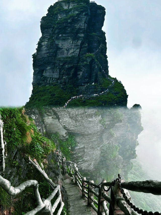 奔赴山海與自由 | 梵淨山遊