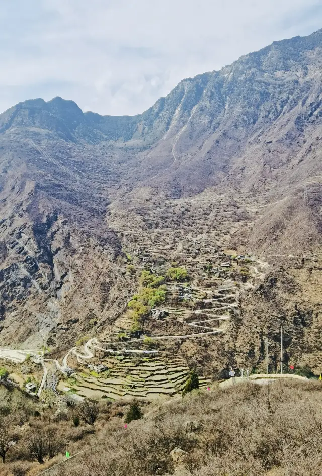 단바 중로 장채에서 배꽃 구경하기