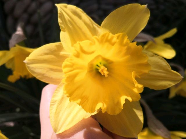 When Sping Knocks The Door: Ultimate Itinerary for Flower Bloom in Xi'An When Sping Knocks The Door: Ultimate Itinerary for Flower Bloom in Xi'An