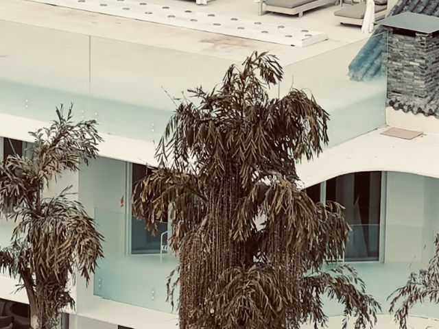 冬天度假嘅好地方推介