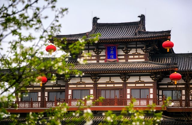 西安春日賞花全攻略 | 8個浪漫花海打卡地