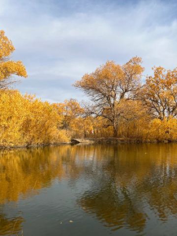 5天暢遊蘭州-居延海-金塔胡楊林 美景一網打盡