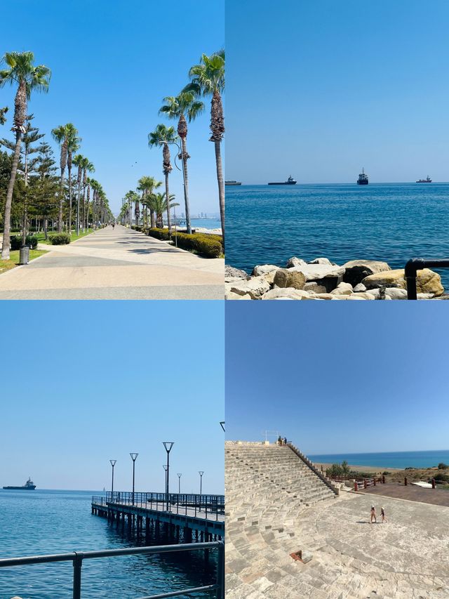利馬索爾：地中海的璀璨詩篇