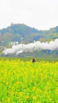 「乘坐嘉陽小火車，保證會令你驚喜！」