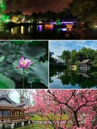 南京綠野仙蹤，入住自然之中！