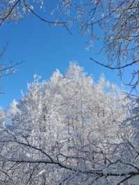 6日玩轉吉林長白山-雪鄉超全攻略速覽
