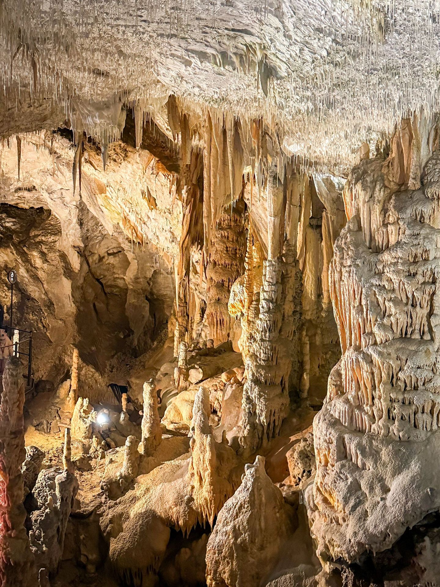Travel around Austria and other countries on the 22nd with a super detailed guide