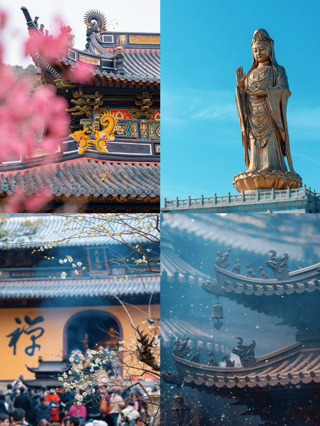 舟山海島遊攻略｜一線海景鉑爾曼，性價比絕了！