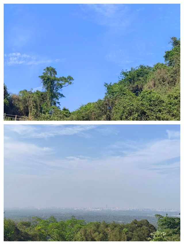 海口：南海之畔的夢幻之城
