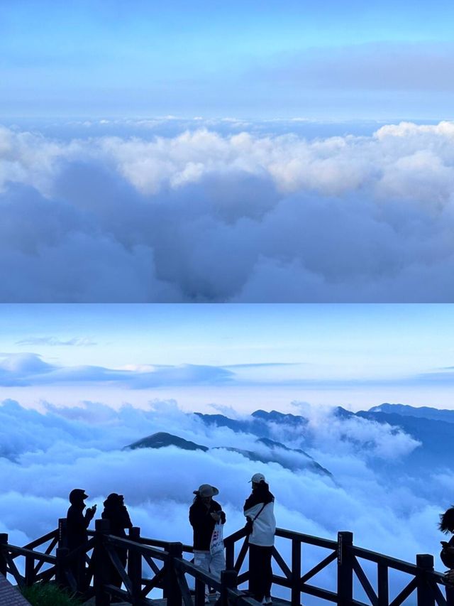 武功山 | 赴一場雲端之約，邂逅絕美高山草甸