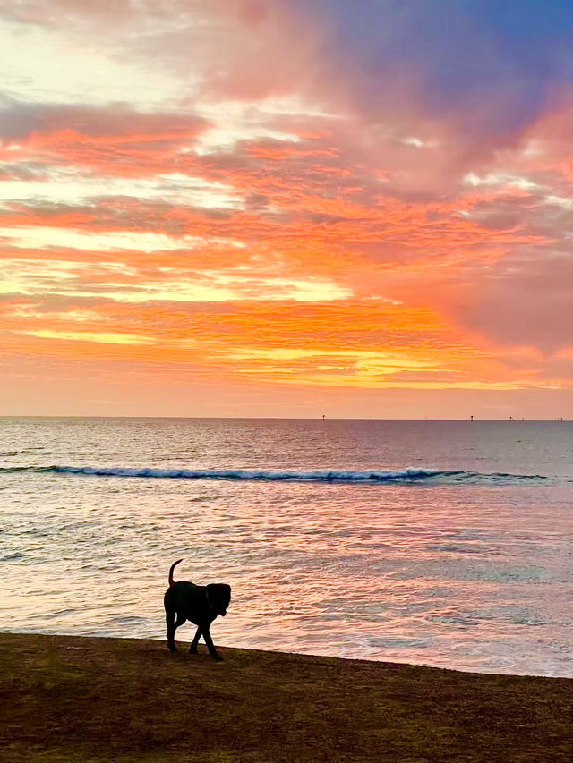 Western Australia Road Trip: Beaches, Quokkas, and Sunsets!