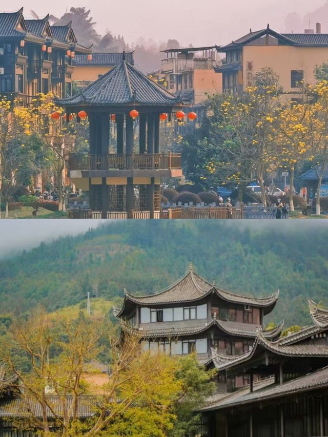 屏邊已回，真不建議3月去。