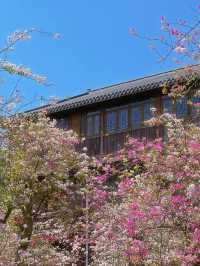 陵水5日遊 超詳細攻略 馬住喇