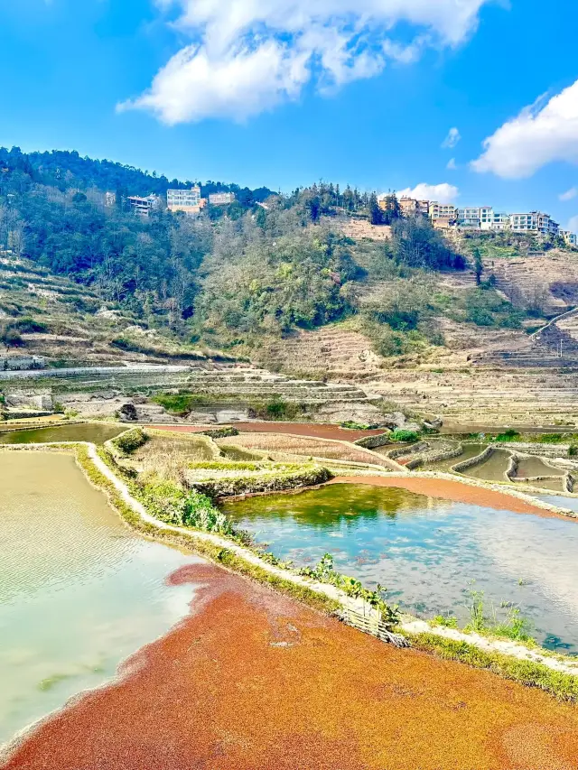 4-Day Trip to Luoping-Mile-Bisezhai: A Super Detailed Guide