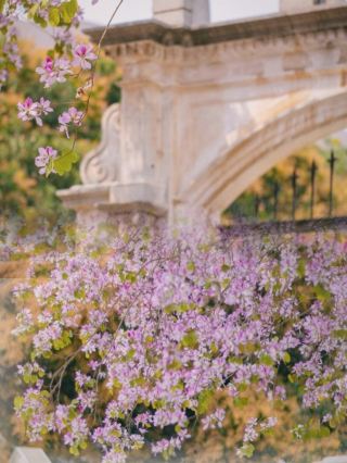 A Thousand Golden Purple Blossoms in Jiangnan, Spring Paints the Branches with Longing