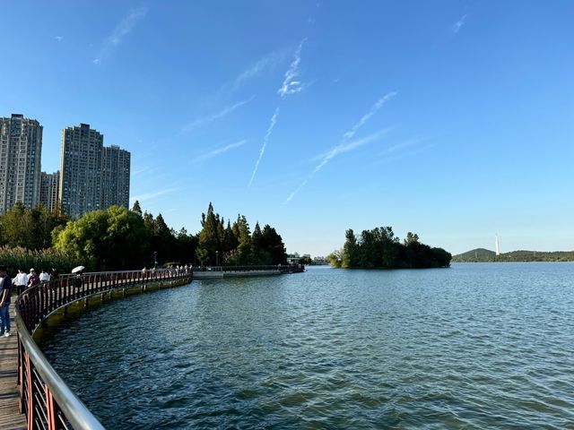 好吃不貴，來的人真不少