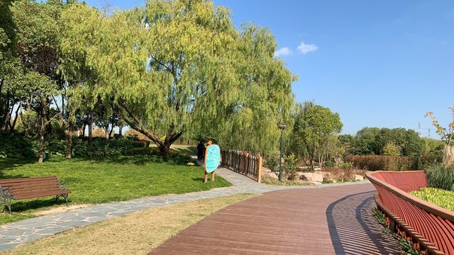 上海嘉北郊野公園嘅秋季遊記：金色稻田與田園風光