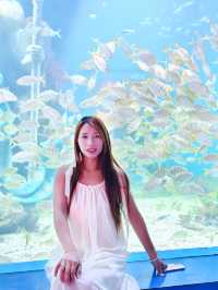 女神節海趣花都海洋世界