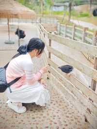 這樣溜娃太爽！主題樂園、萌寵、溫泉，三倍快樂！