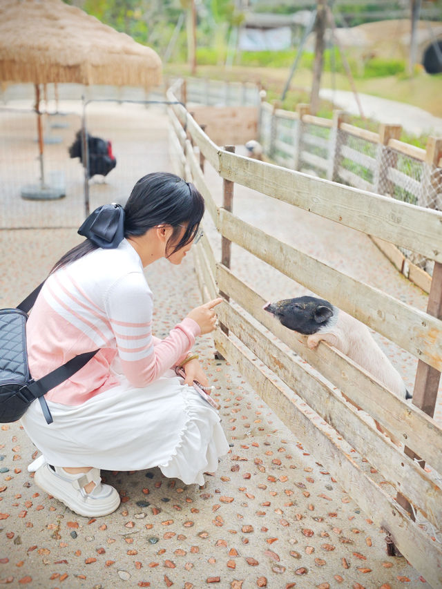 這樣溜娃太爽！主題樂園、萌寵、溫泉，三倍快樂！