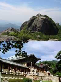 安東市的介紹