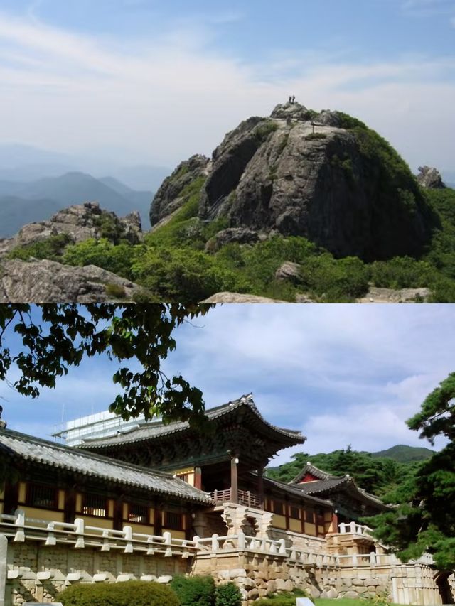 安東市的介紹