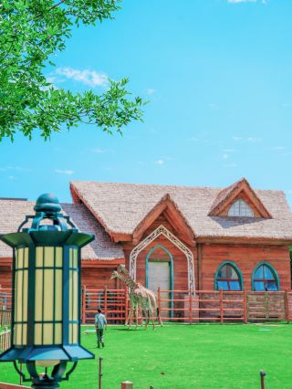 Zhengzhou | Yinji Animal Kingdom | A Wild Adventure in the Heart of the Central Plains