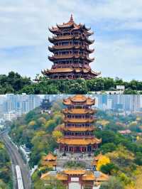 武漢親子遊歸來，真心不建議3月去