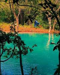 阿布加魯姆自然保護區（Abu Galum Nature Reserve）——紅海秘境探險之旅 