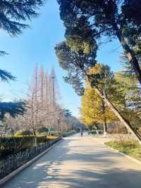 咪淨係旺季先嚟青島！淡季先至係真香警告