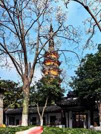 玉蘭映雙塔，春色落滿園。