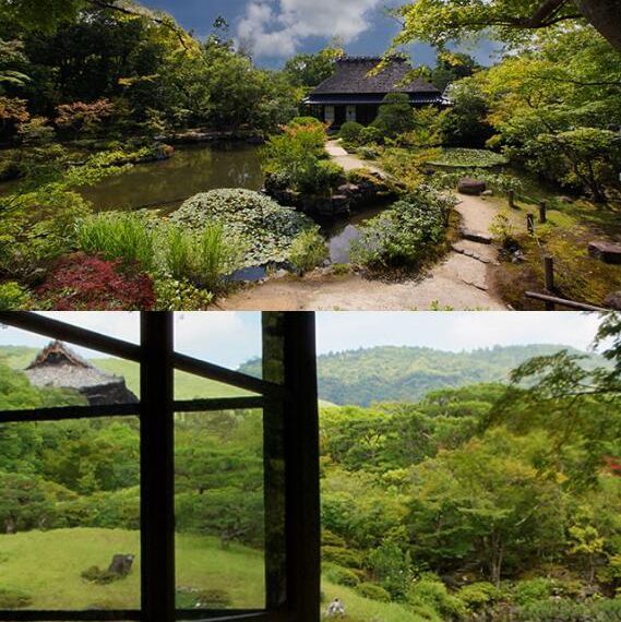 🌸櫻花季去大阪奈良 | 建議直接複製這條路線