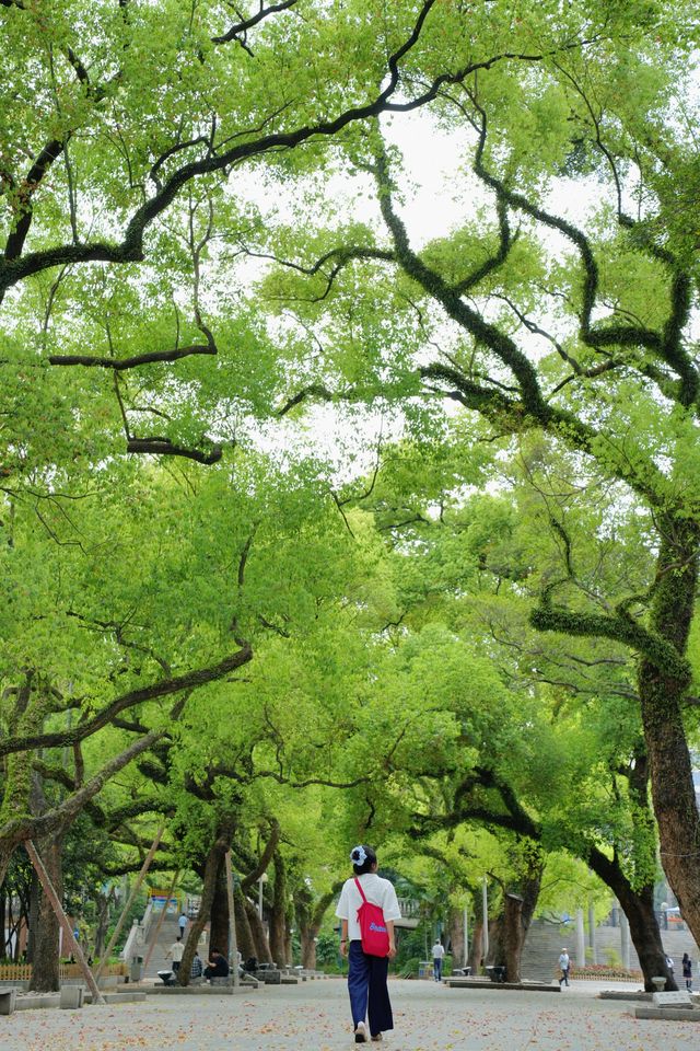 美哭！沒有哪個公園能比它更懂拿捏春和景明了