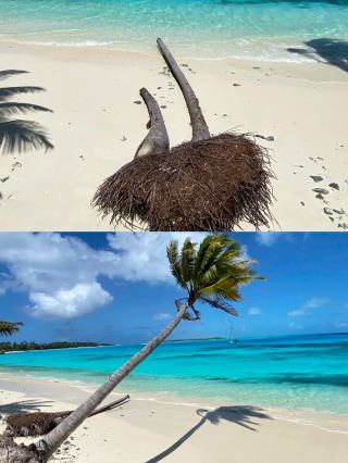 Cayo Coco, Cuba
