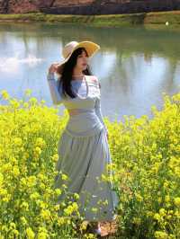 春日序曲油菜花開了