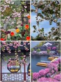 3月莫愁湖公園賞花攻略：邂逅金陵春日繁花