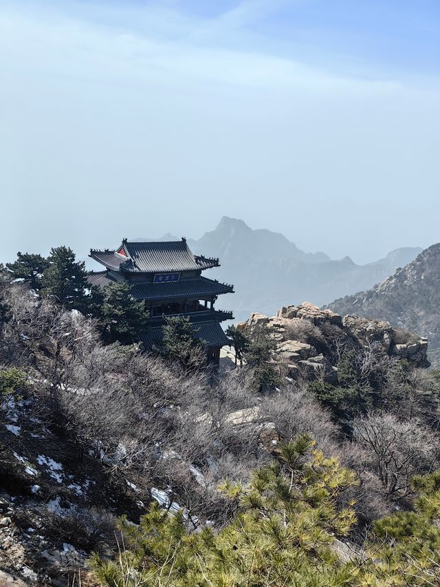 春天就要上春山 | 東嶽泰山~~省體力遊覽攻略