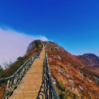 Brave Laowang Mountain and unlock a thrilling challenge through cliffs and emerald forests.