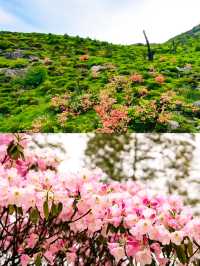 「雲冰山，大自然的絕美畫卷！」